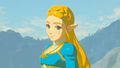 Zelda sonríe en el final de BotW captura.jpg