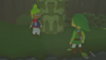 Tetra ante Link WWHD.png